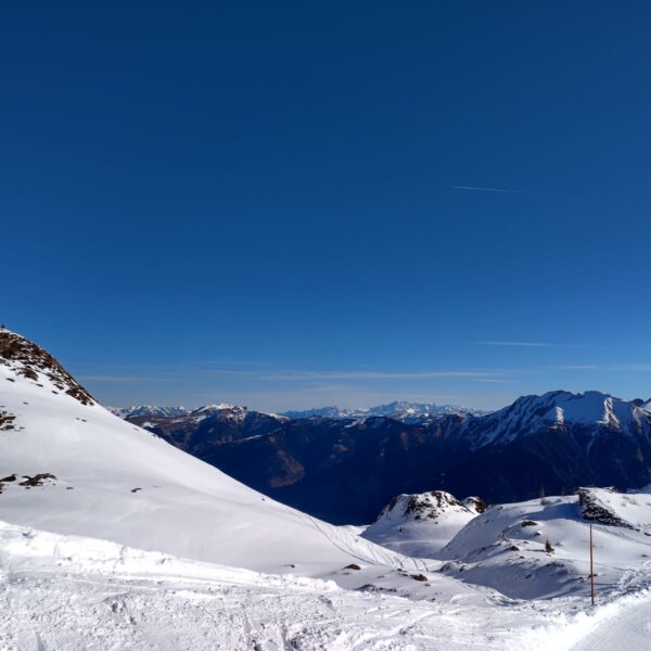 IMG-20250303-WA0015