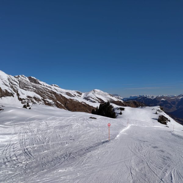 IMG-20250303-WA0016