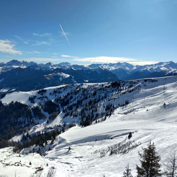 IMG-20250304-WA0004