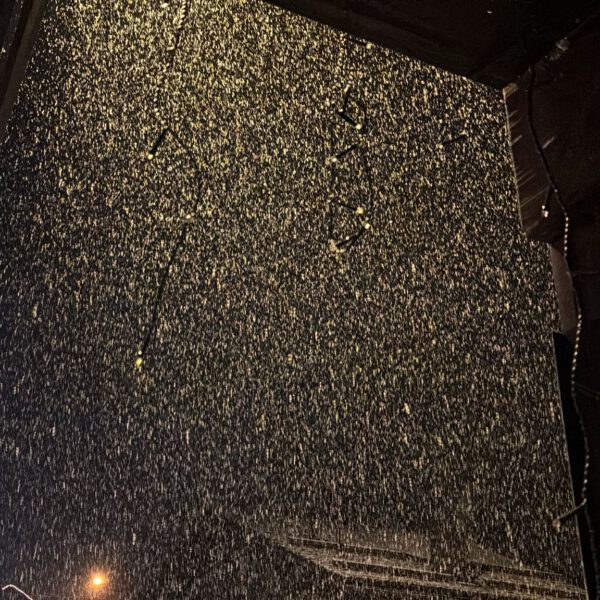 Schneefall