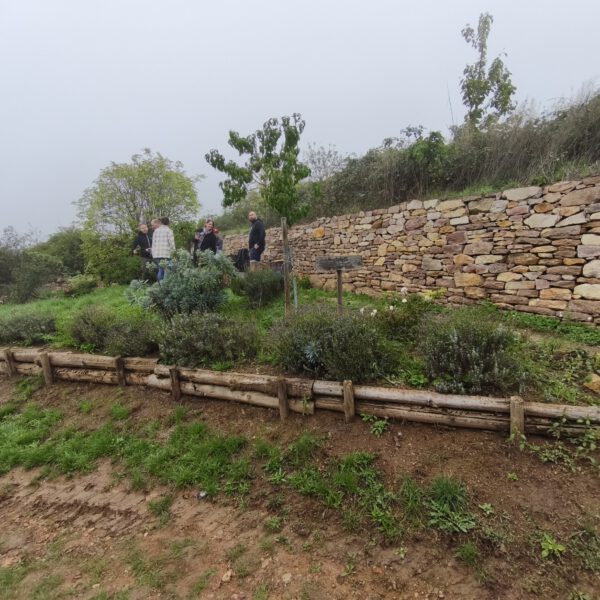 2025-09-Baenkelchesroute (2)
