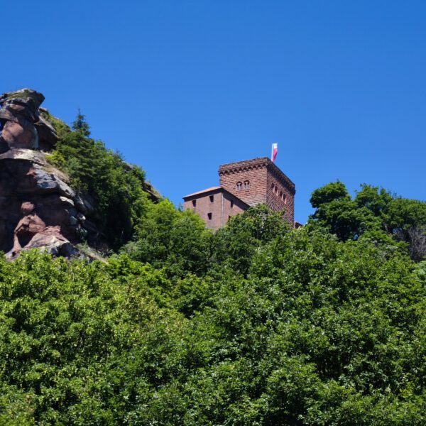 Die Burg Trifels