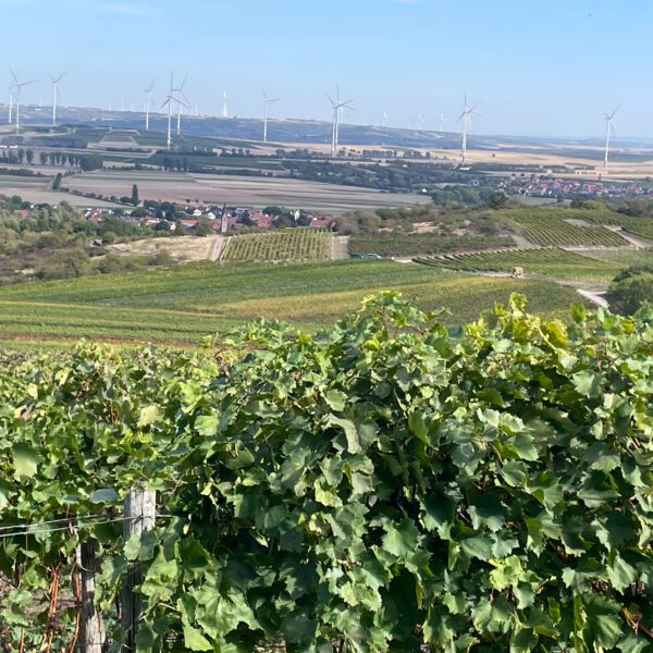 Bild mit toller-Aussicht